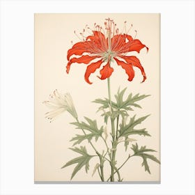 Higanbana Red Spider Lily 1 Vintage Japanese Botanical Canvas Print