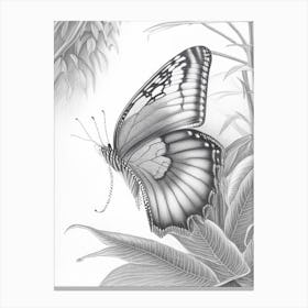 Butterfly In Botanical Gardens Greyscale Sketch 1 Canvas Print