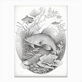 Tancho Sanke Koi Fish Haeckel Style Illustastration Canvas Print