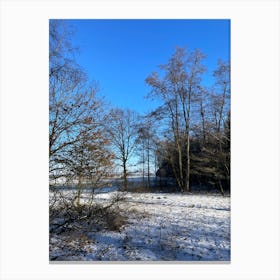 Winter Landscape - Winter Stock Videos & Royalty-Free Footage Canvas Print