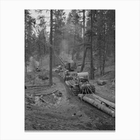 Grant County, Oregon, Malheur National Forest, Caterpillar Tractors Snaking Logs To The Place Where They Are Loaded Ont Canvas Print