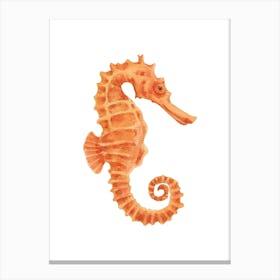 Seahorse 9 Canvas Print