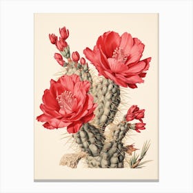 Vintage Cactus Illustration Austrocylindropuntia Subulata 3 Canvas Print