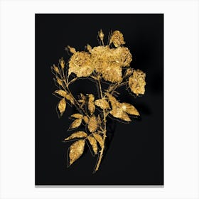 Vintage Ternaux Rose Bloom Botanical in Gold on Black n.0184 Canvas Print