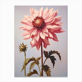 Floral Illustration Dahlia 3 Canvas Print