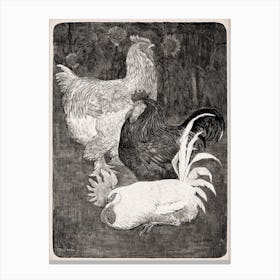 Three Roosters (1898), Theo Van Hoytema Canvas Print