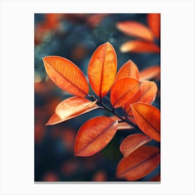 Autumn Leaves 5 Canvas Print