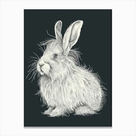 English Angora Rabbit Minimalist Illustration 3 Canvas Print
