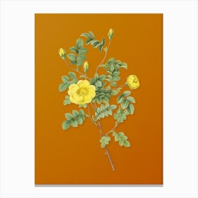 Vintage Yellow Sweetbriar Rose Botanical on Sunset Orange n.0939 Canvas Print