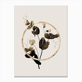 Gold Ring White Pea Flower Glitter Botanical Illustration n.0040 Canvas Print