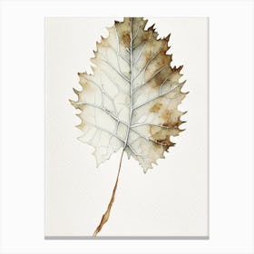 White Oak Leaf Minimalist Watercolour 3 Canvas Print