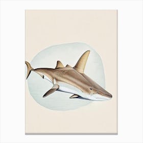 Nurse Shark Vintage Canvas Print