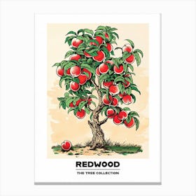 Redwood Tree Storybook Illustration 4 Poster Canvas Print