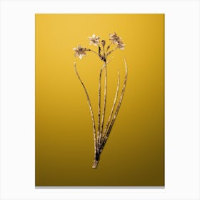 Gold Botanical Rush Daffodil on Mango Yellow Canvas Print