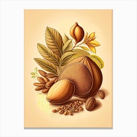 Nutmeg Spices And Herbs Retro Drawing 1 Canvas Print