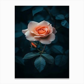 Dark Rose 10 Canvas Print