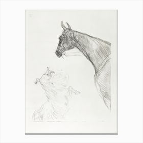 Horse And Collie (1898), Henri de Toulouse-Lautrec Canvas Print