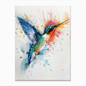 Hummingbird Colourful Watercolour 4 Canvas Print