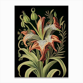 Inca Lily 1 Floral Botanical Vintage Poster Flower Canvas Print