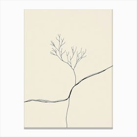 Tree On A Rock Canvas Print