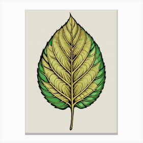 Leaf Leaves Canvas Print