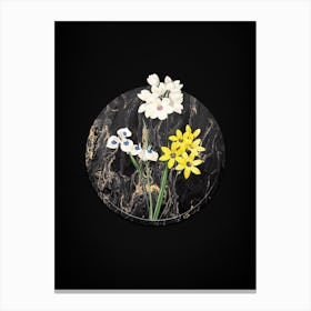 Vintage Corn Lily Botanical in Gilded Marble on Shadowy Black n.0031 Canvas Print