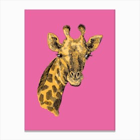 Giraffe Head Canvas Print