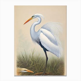 Egret James Audubon Vintage Style Bird Canvas Print