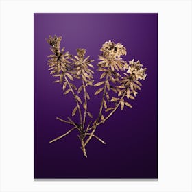 Gold Botanical Garland Flowers on Royal Purple n.3465 Canvas Print