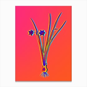 Neon Daffodil Botanical in Hot Pink and Electric Blue n.0491 Canvas Print