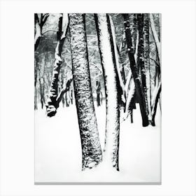 Snow Covered Tree Trunks Canvas Print