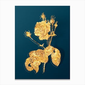 Vintage Cabbage Rose Botanical in Gold on Teal Blue n.0326 Canvas Print