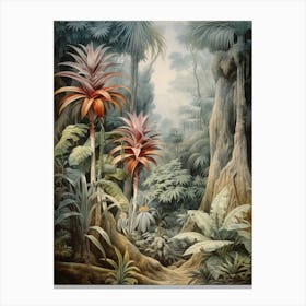 Vintage Jungle Botanical Illustration Bromeliads 1 Canvas Print