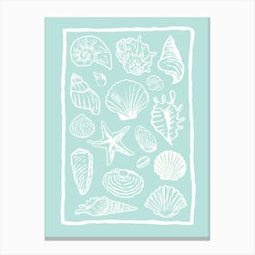 Seashells Aqua Canvas Print