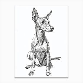 Pharaoh Hound Dog Line Sketch 1 Canvas Print