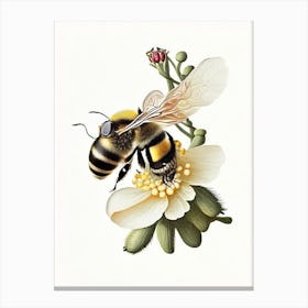 Pollinator Bee 7 Vintage Canvas Print