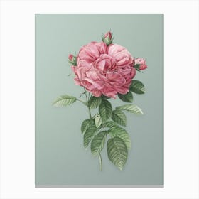 Vintage Giant French Rose Botanical Art on Mint Green n.0672 Canvas Print
