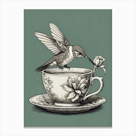 Hummingbird On A Teacup Canvas Print