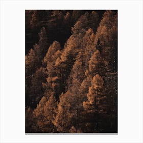 Dark Amber Forest Canvas Print