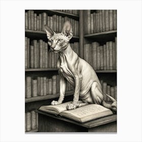 Sphynx Cat 5 Canvas Print