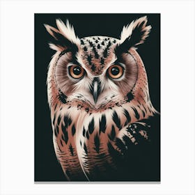 Owl Portrait Canvas Print