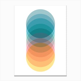 Colourful Abstract Graudated Circles Canvas Print