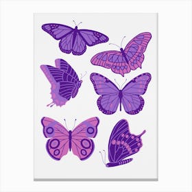 Texas Butterflies   Purple And Pink Canvas Print