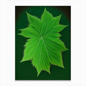 Nettle Leaf Vibrant Inspired 1 Canvas Print