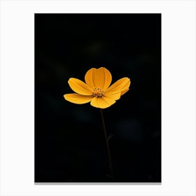 Single Yellow Flower 17 Canvas Print