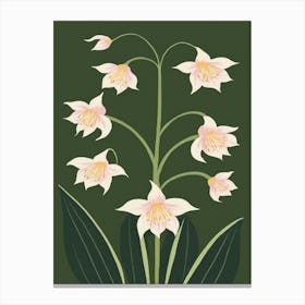 Lily Of The Valley Canvas Print