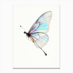 Butterfly 4 Canvas Print