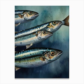 Sardines 14 Canvas Print