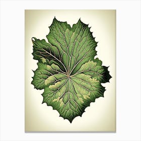 Malva Leaf Vintage Botanical 3 Canvas Print