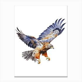 Hawk In Flight.3 Canvas Print